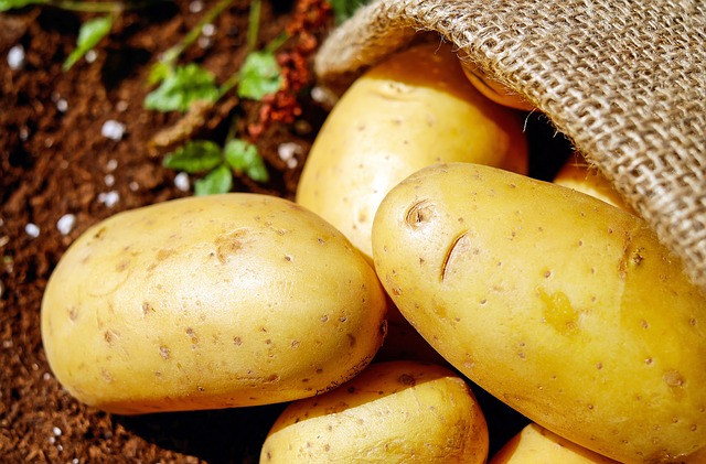 potato photo